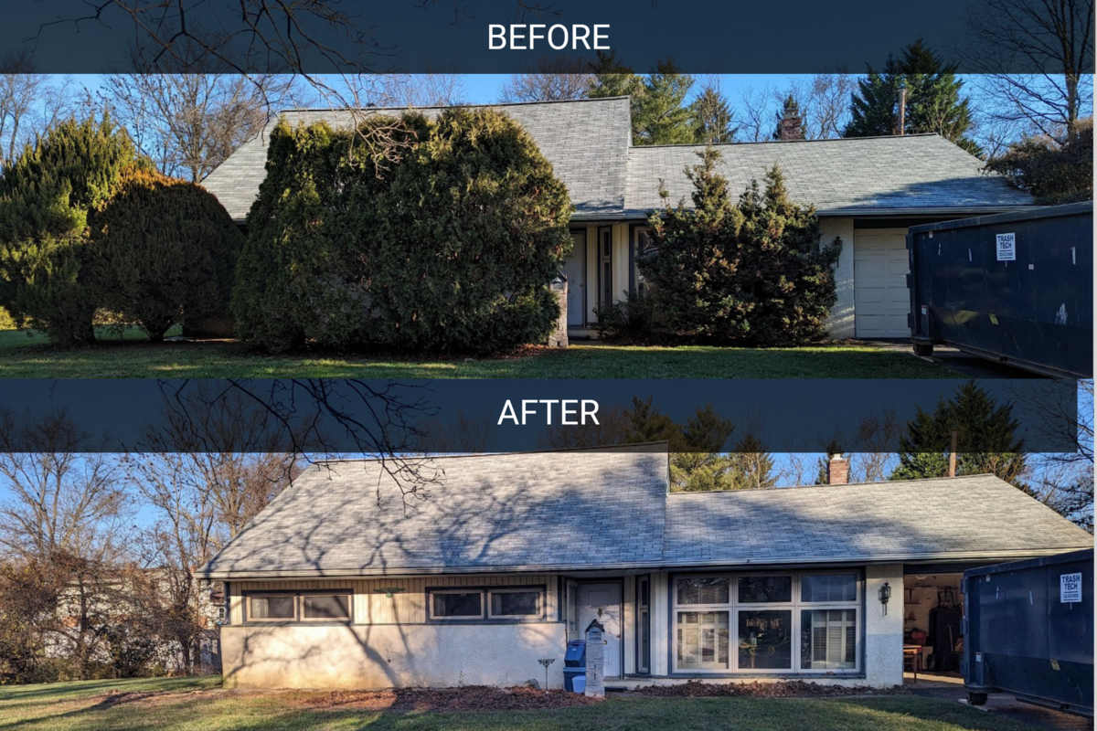 Removal of bushes and small trees from the front of the house.