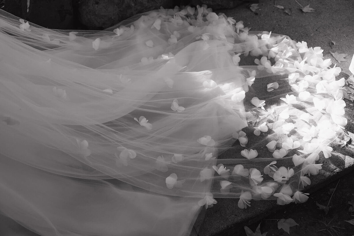 whimsical-wedding-dress-details-wilde-sage-planning