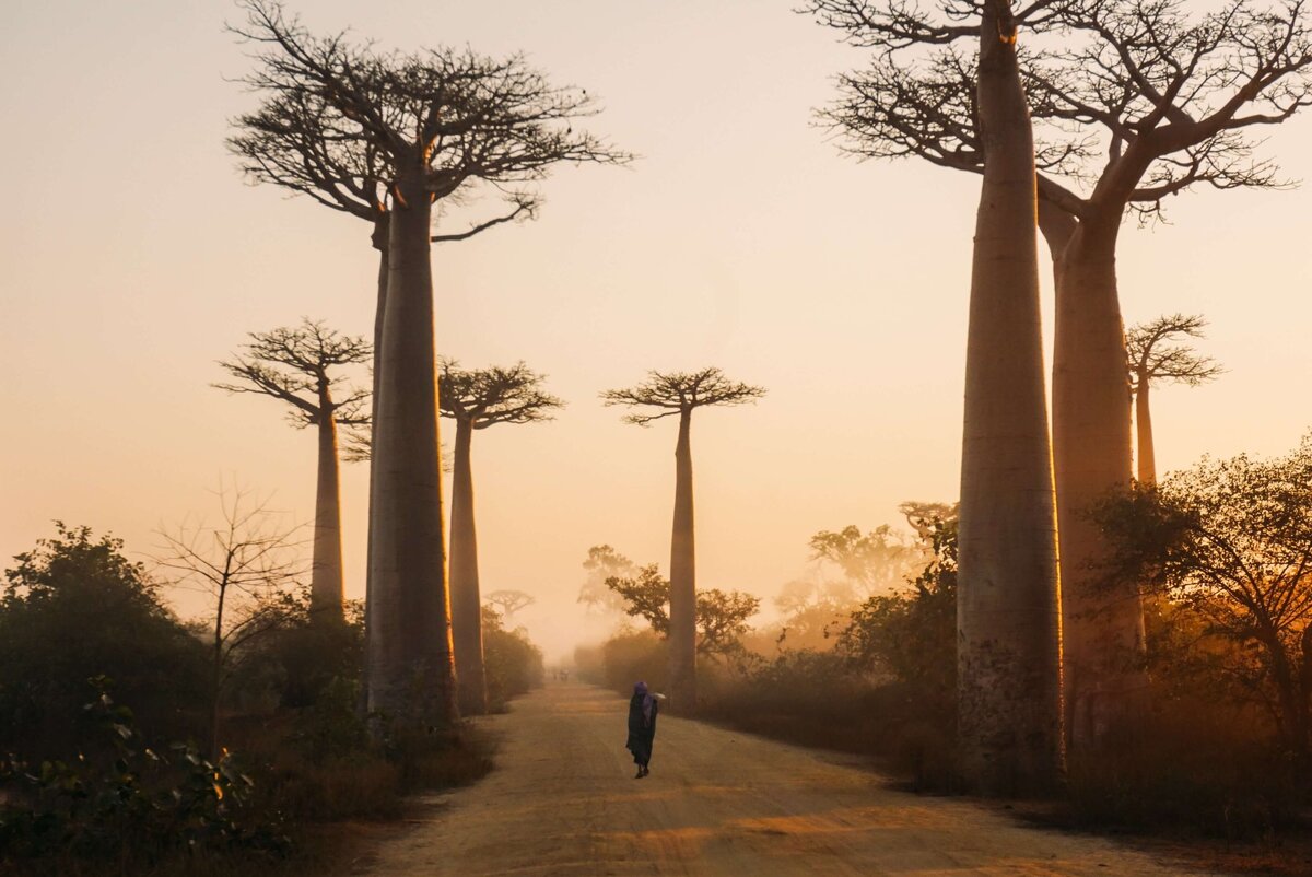 yasmine-arfaoui-sunrise in Morondava, Madagascar.-unsplash