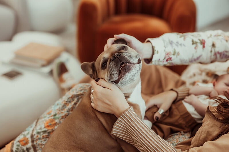 Mom and dad snuggling with puppy while sitting on the couch