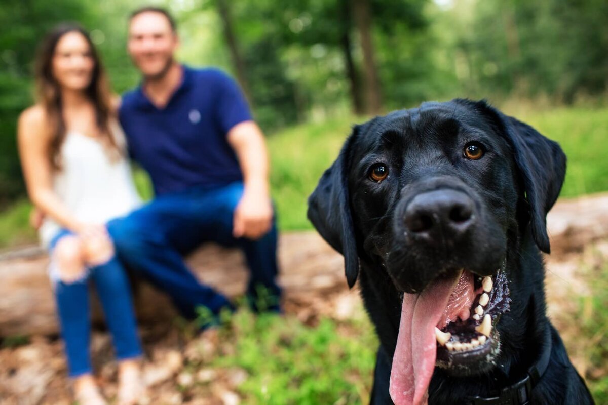 jon-athans-photography-pennsylvania-wedding-photography_3524