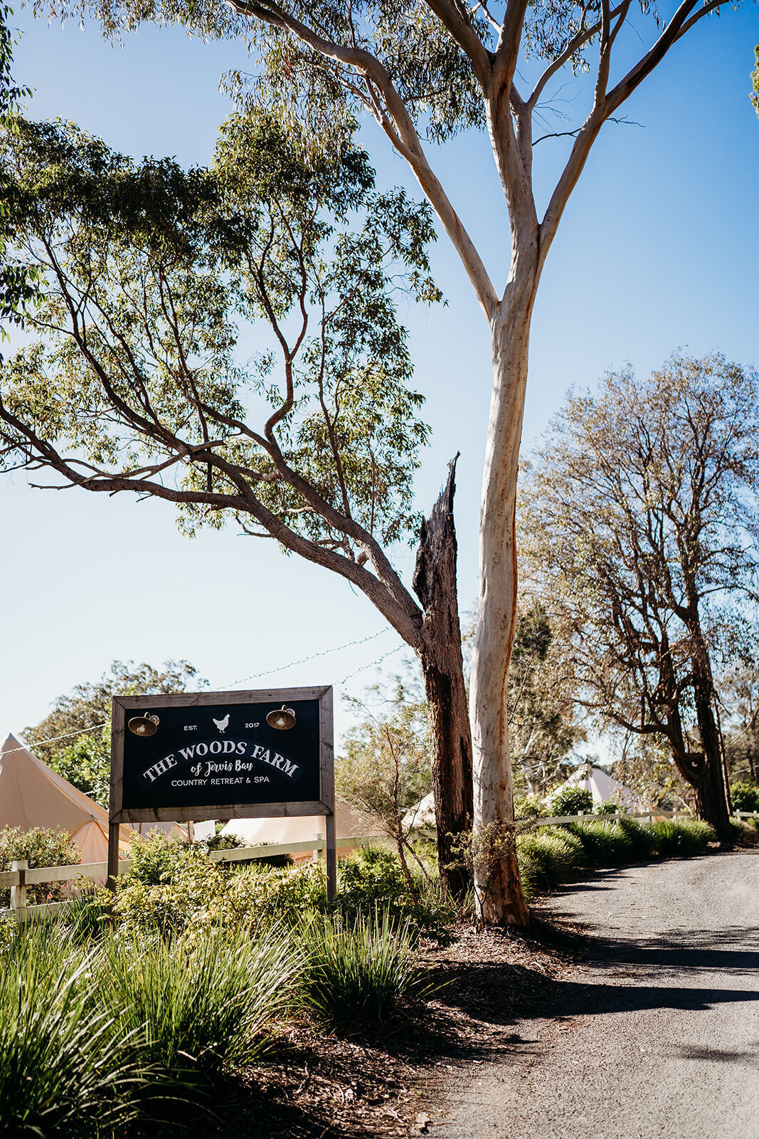 Margan_Photography_The_Woods_Farm_Jervis_Bay-1