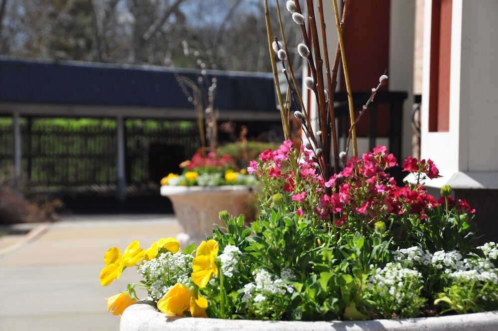 Commercial landscape company project in Kansas City: seasonal flowers showcase