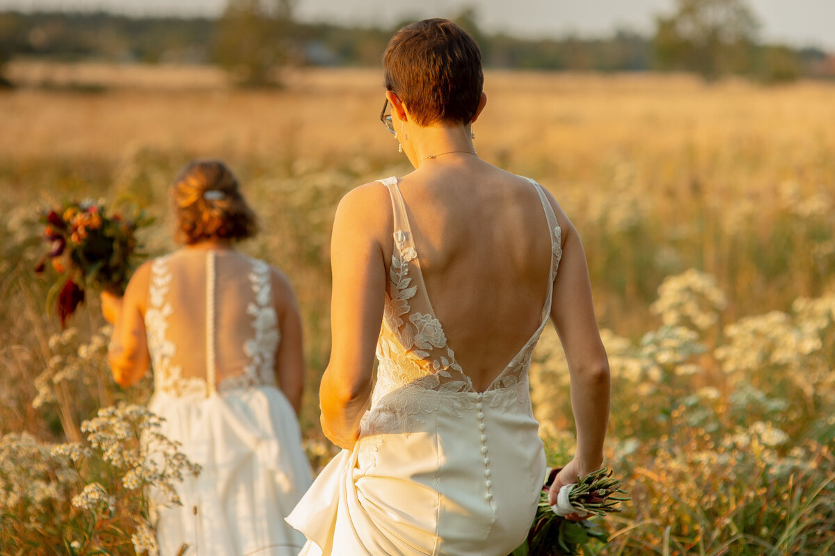 Lesbian brides walk through a field at sunset.