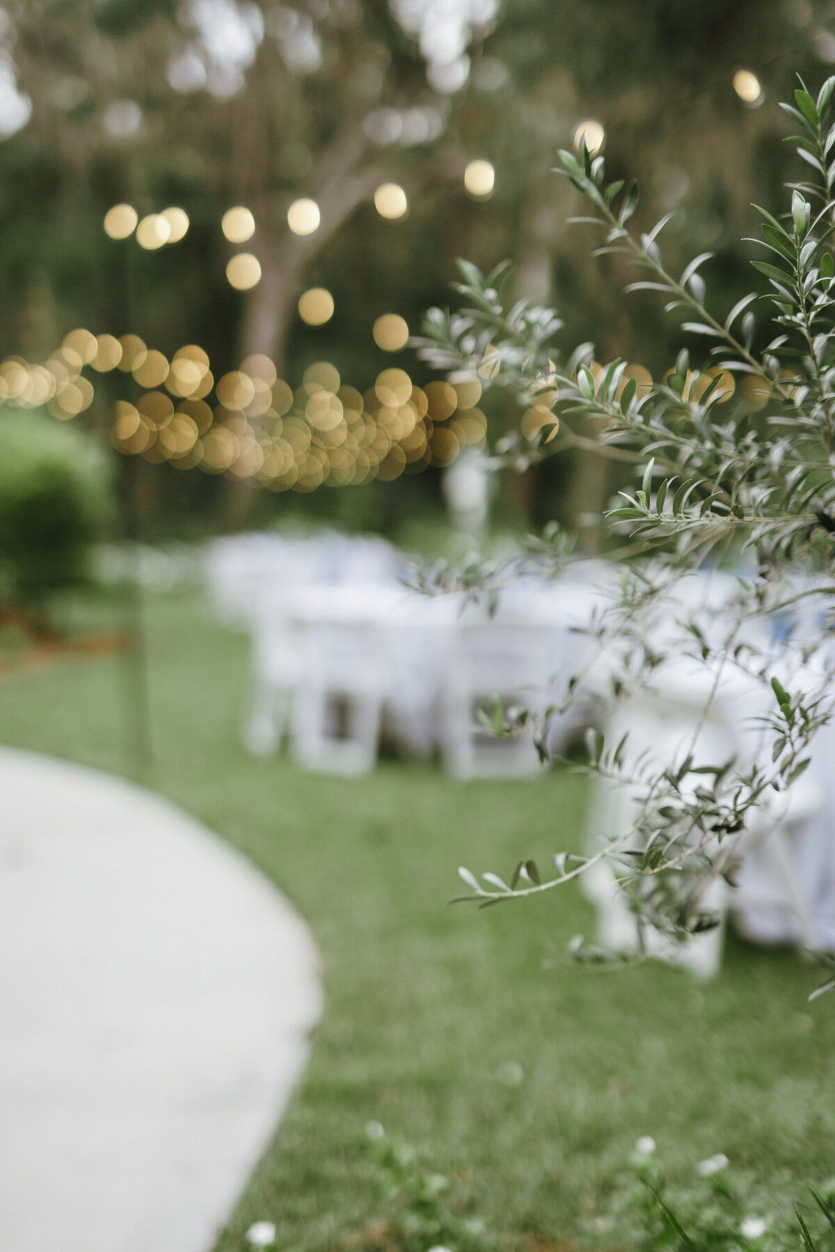 Savannah Georgia Wedding Photographer