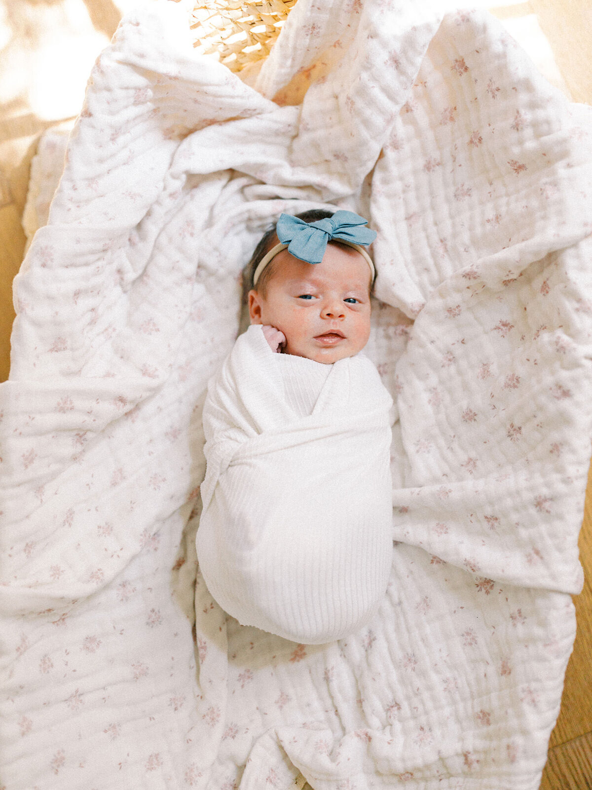 Cynthia-Knapp-Photography-Featured-Newborn-Gallery-051