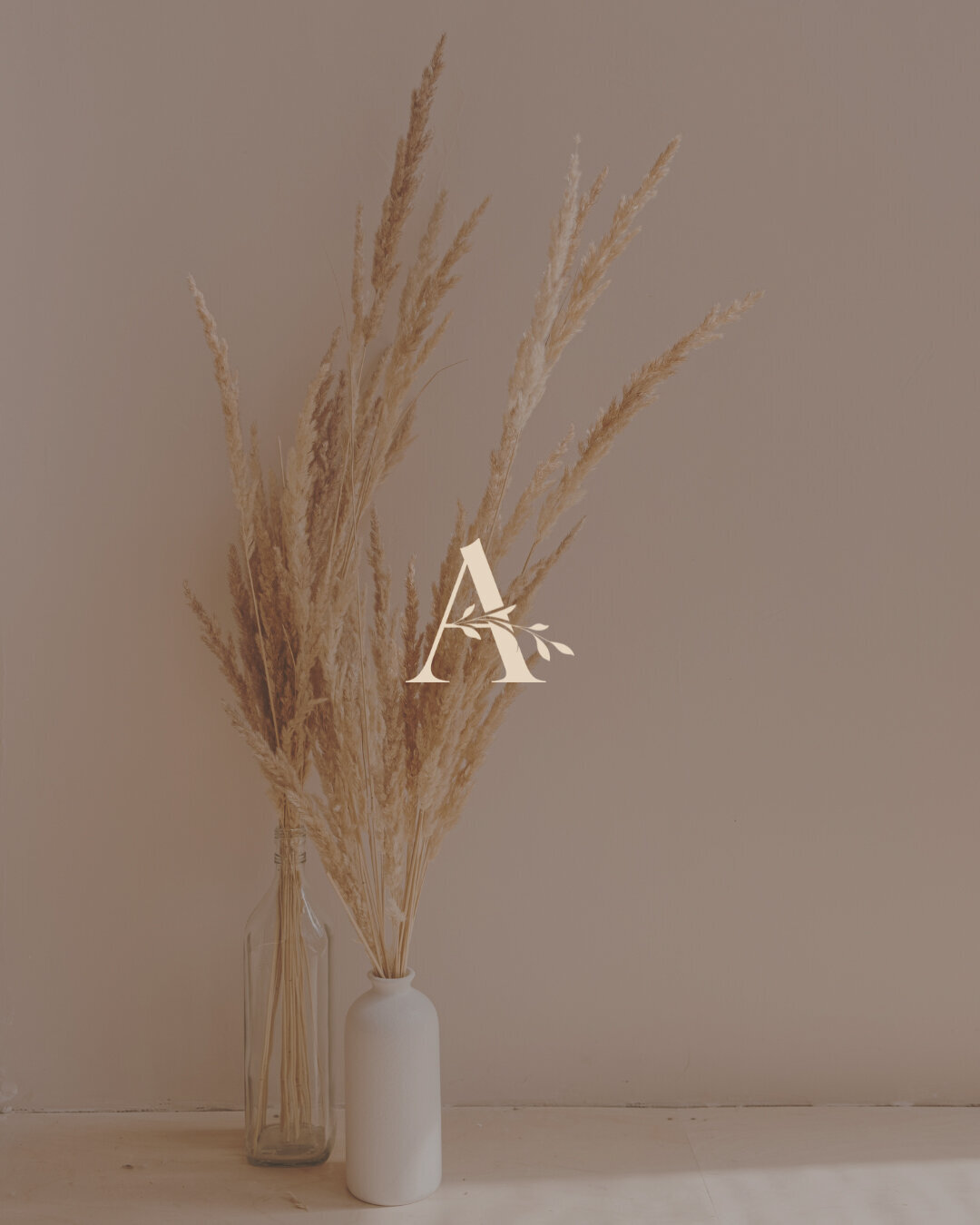 baer-brand-studio-amanda-g-brandmark-logo-reverse-foundation-package