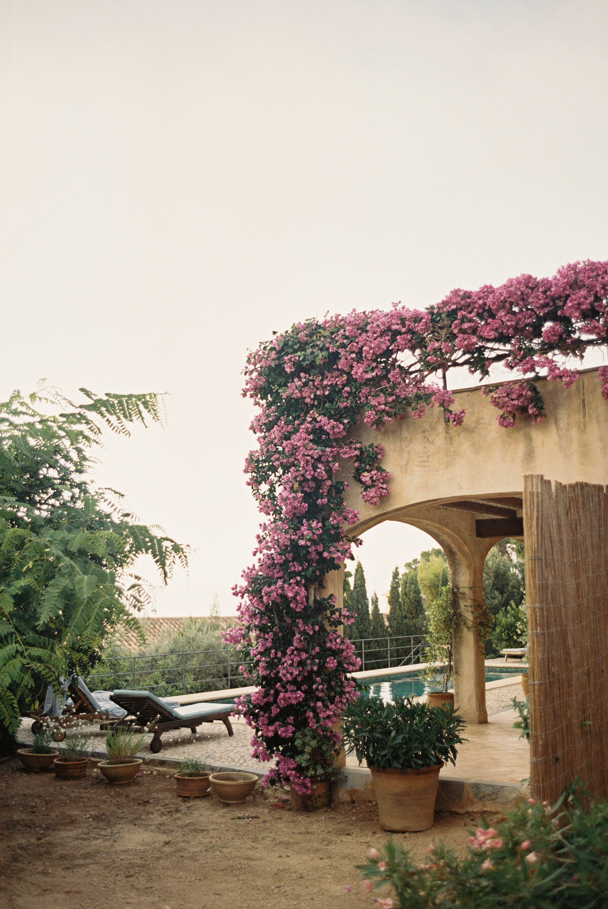 f0825c0d-175e-4301-8df0-f5b4a97fb75c