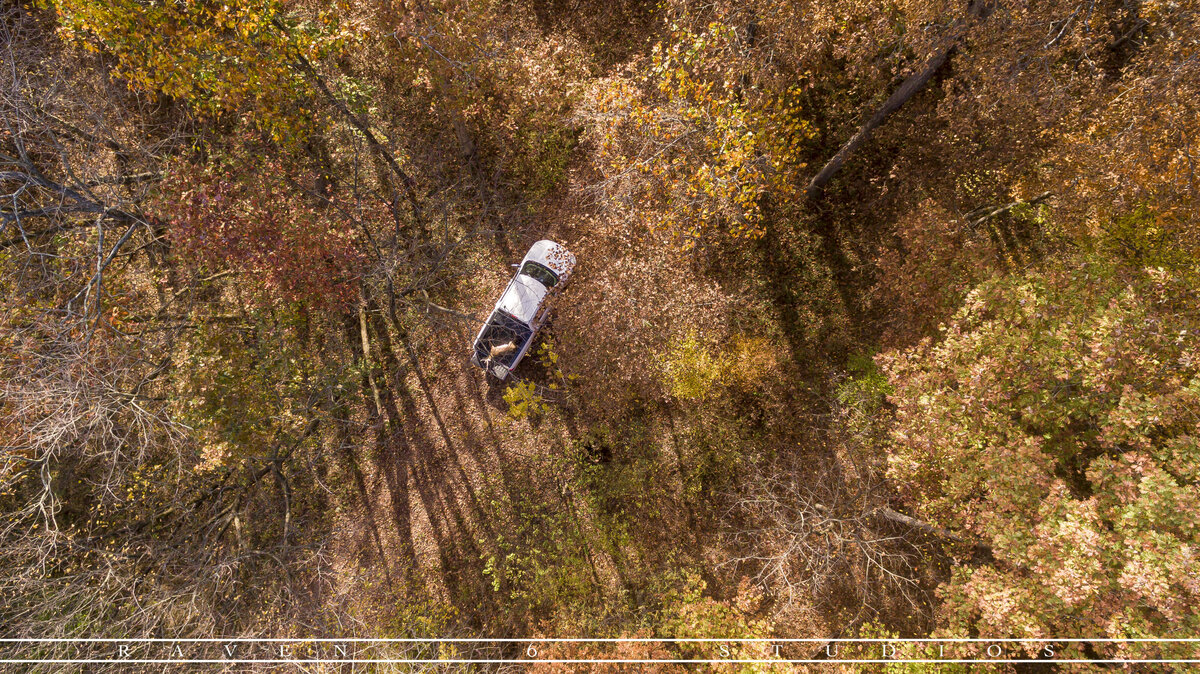 Whitetail hunting with Jason Miller and Raven 6 Studios