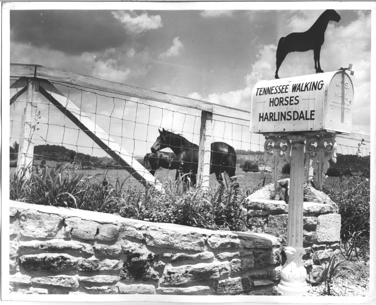 15. Harlinsdale Mailbox