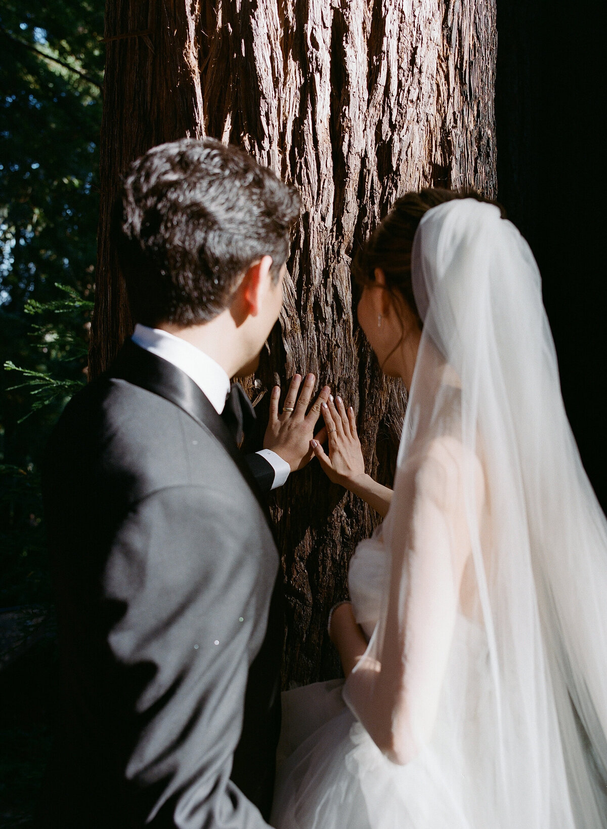 Yena_Rewon_Wedding_Mo_Davis_Photography 241679