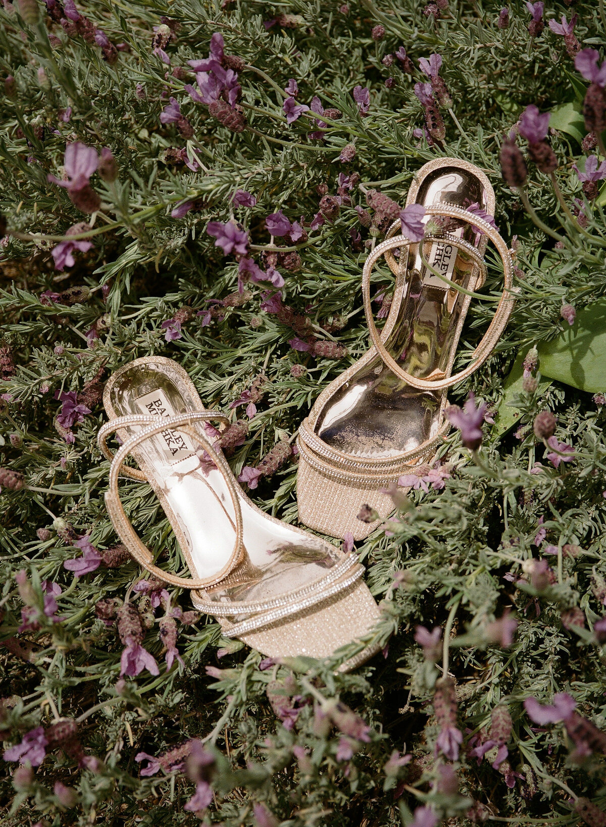 CAITLIN+CALVIN-LI-15