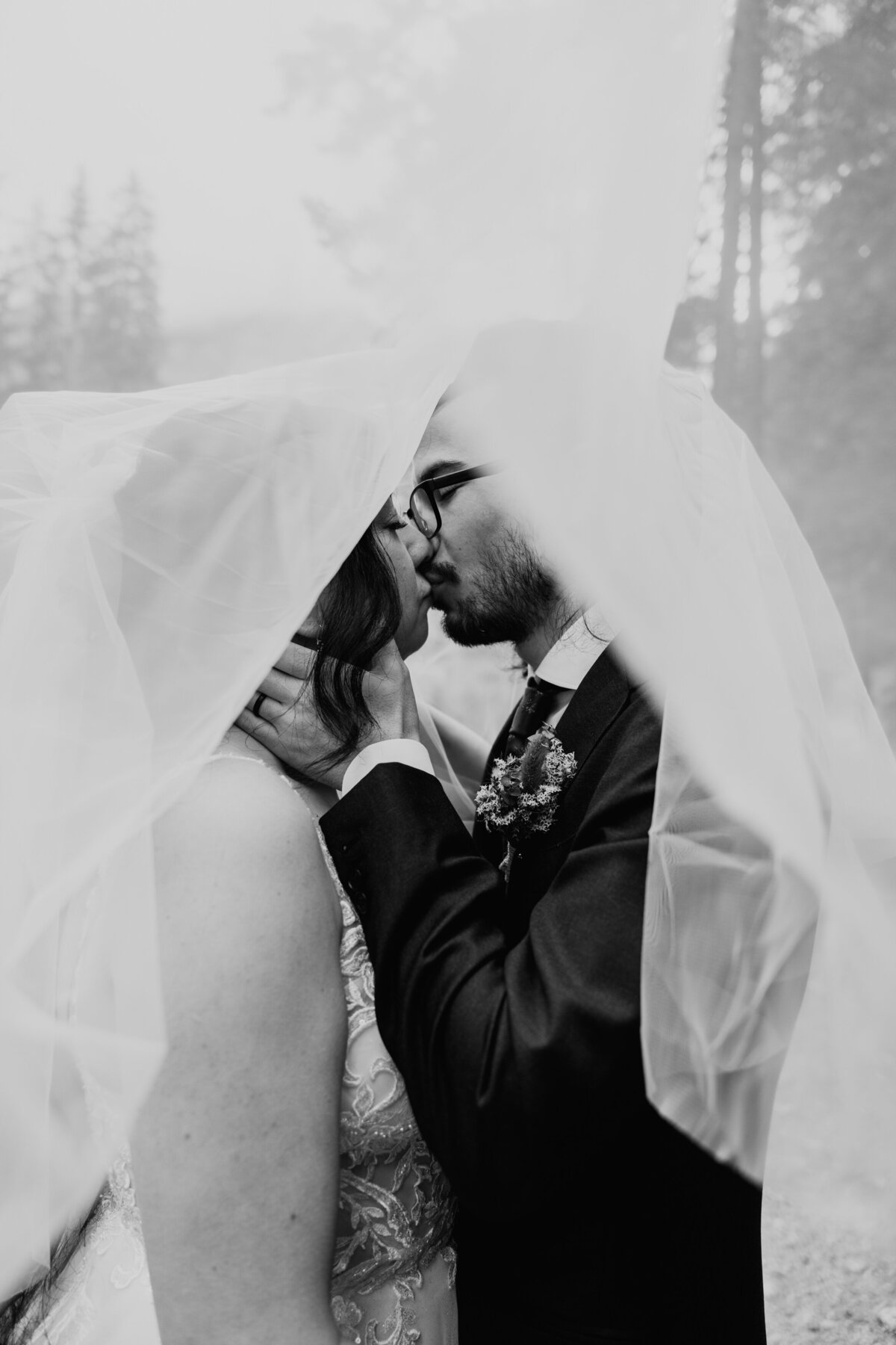 Bride and groom kissing under wedding veil