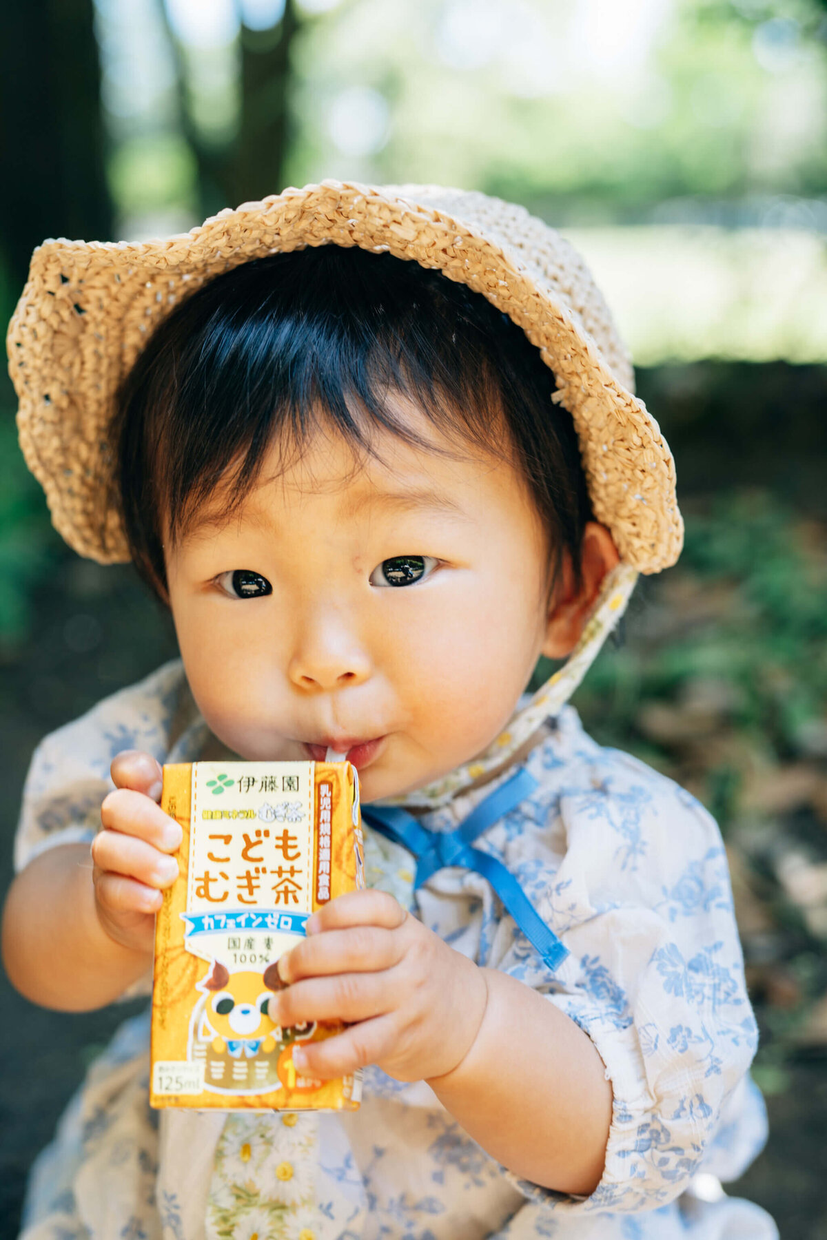 麦茶を飲む赤ちゃん