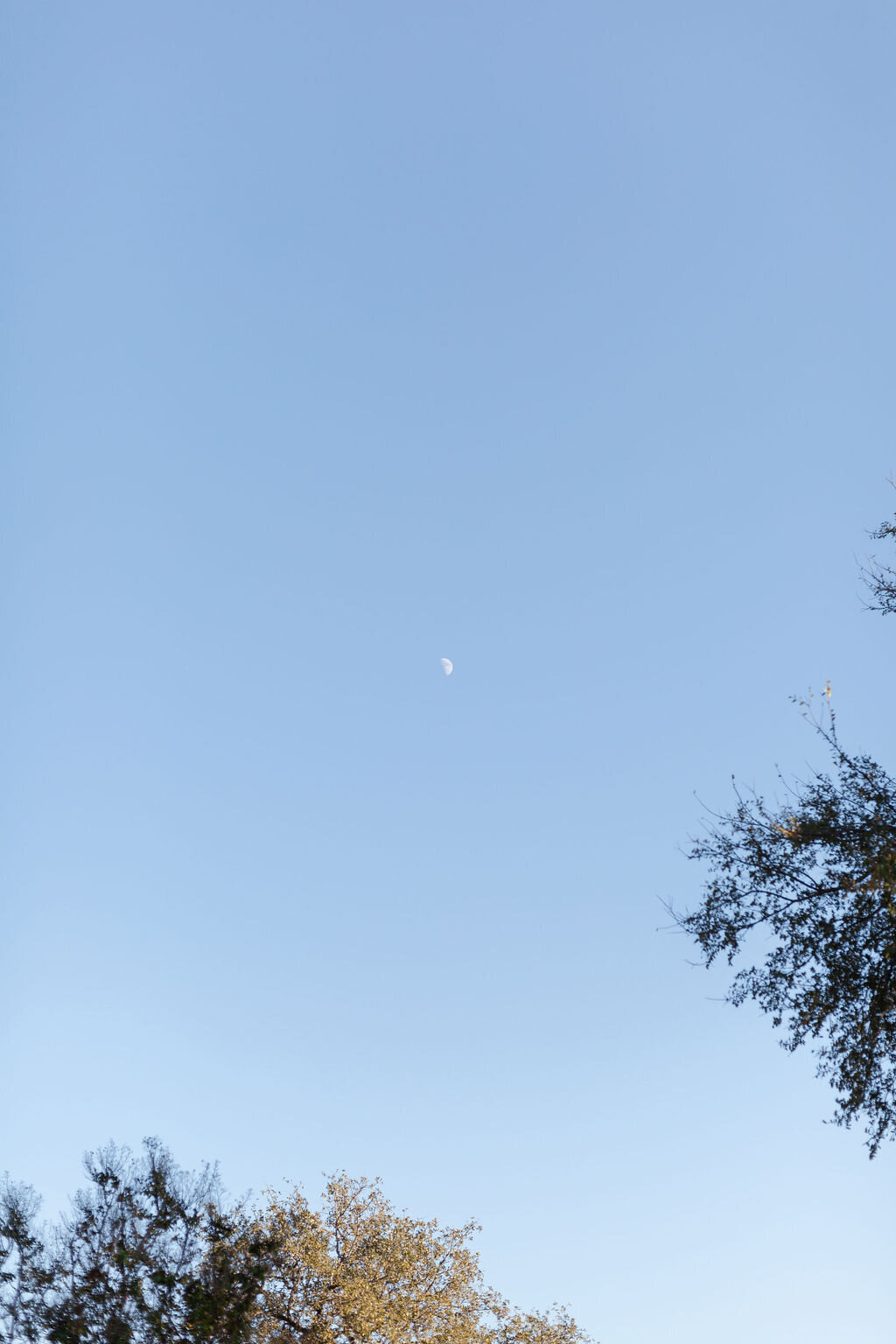 Courtney+Skyler_11.9.24-757