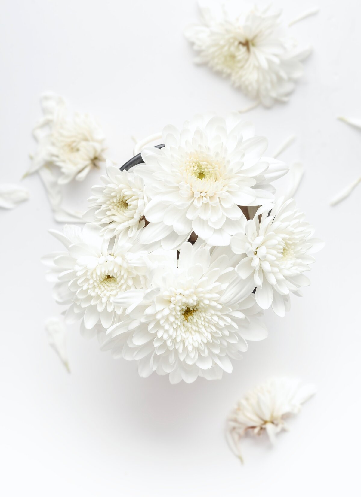 hisu-lee-AbkBVd1gbVA-unsplash