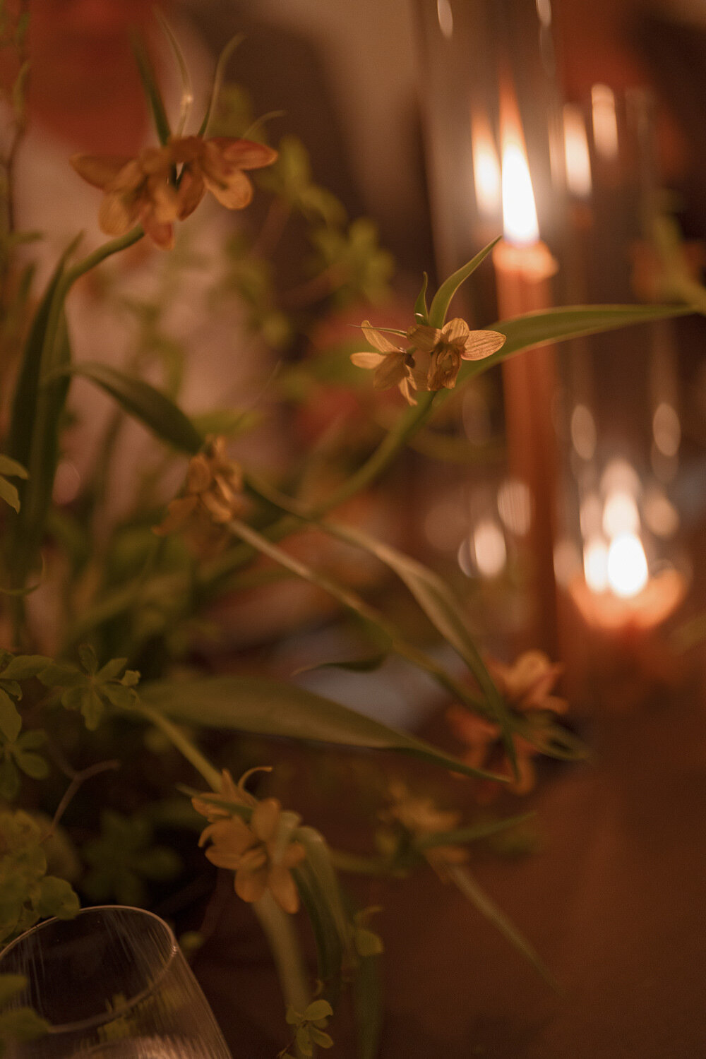 wildflower-web--54