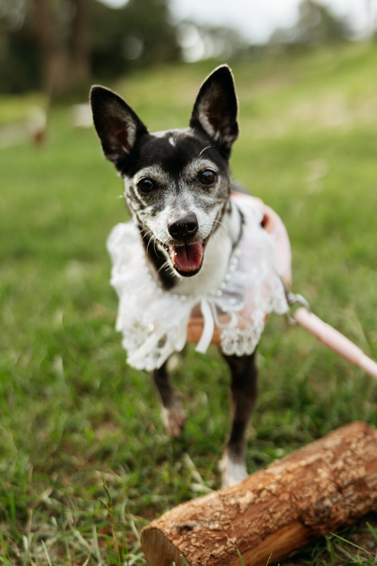 Ebony&Cameron-JBCreative-349