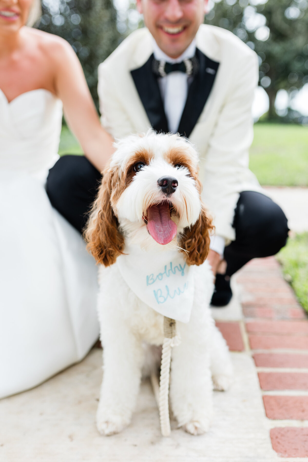 Epping-forest-wedding6A8018
