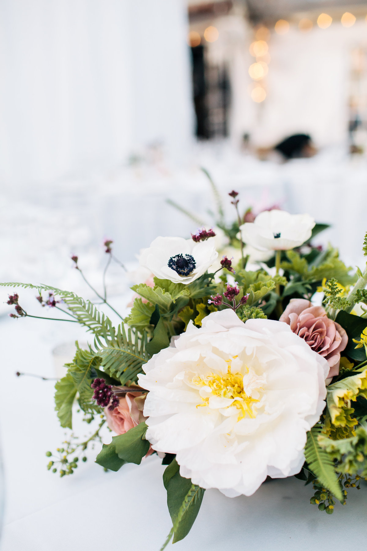 20171111_BloomSiteShoots_0256