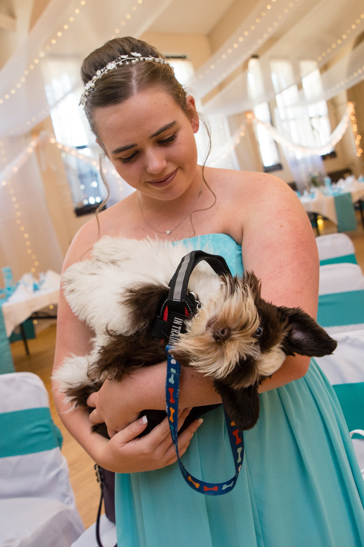 wedding service dog upside down adorable face