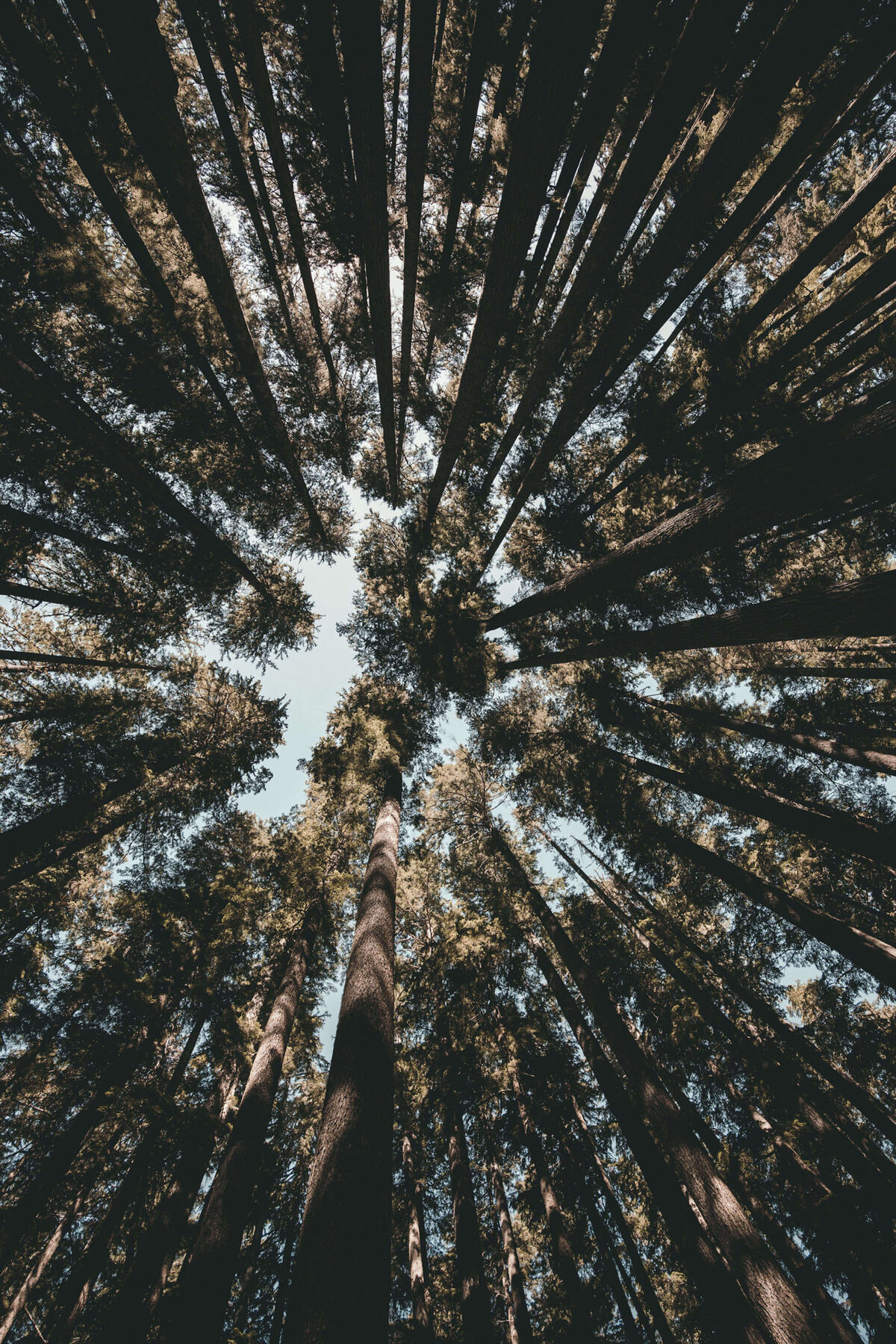 kal-visuals-a07jRijBQ38-unsplash