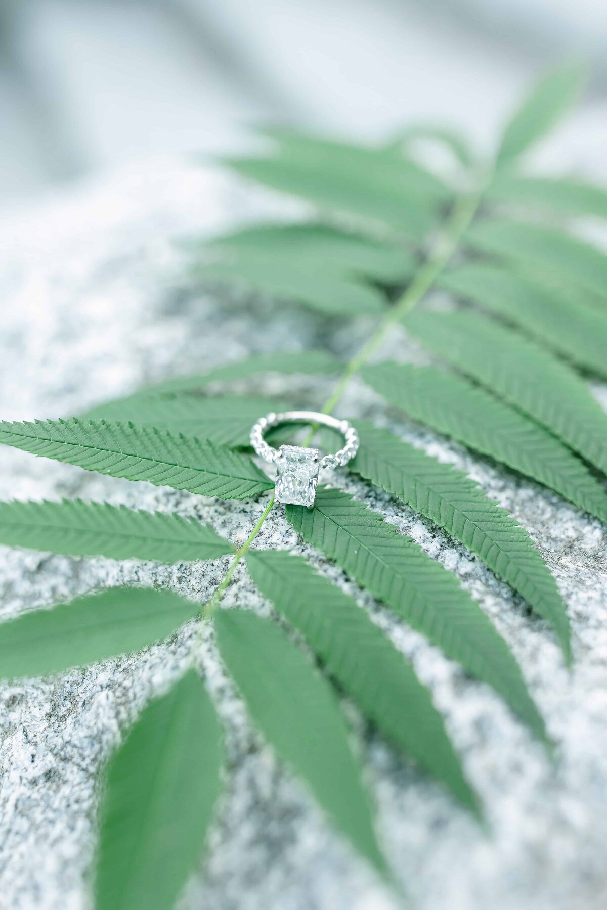 P-R_freeedom-boat club_proposal_1739