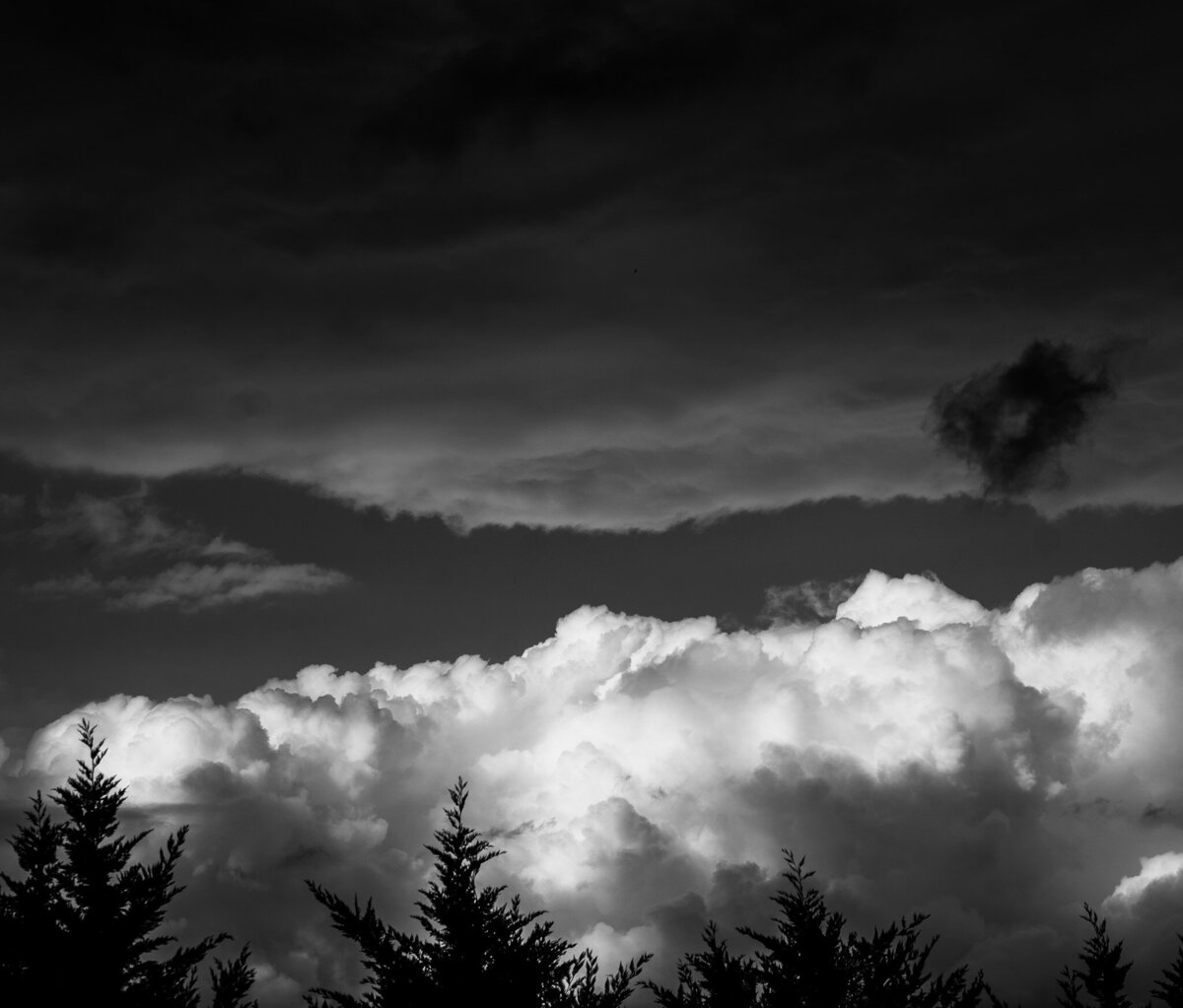 DSC09557