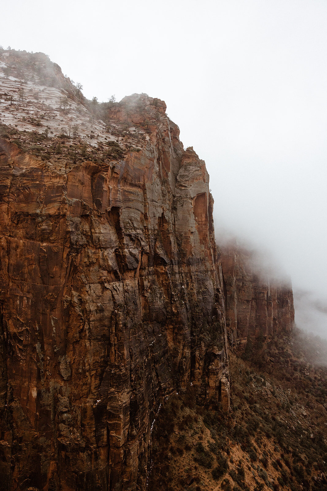 ZionSnowCanyon-dallinhassard-1386