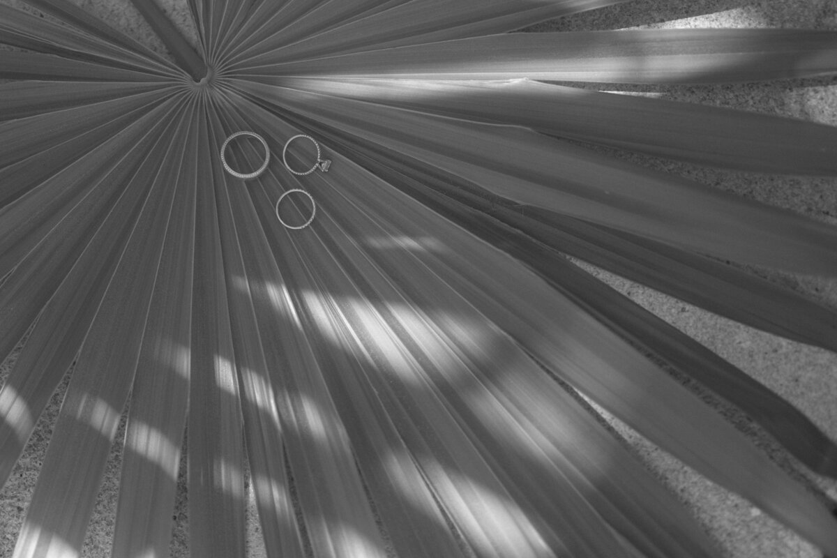 Wedding rings on palm leaf in Mexico at Destination Wedding