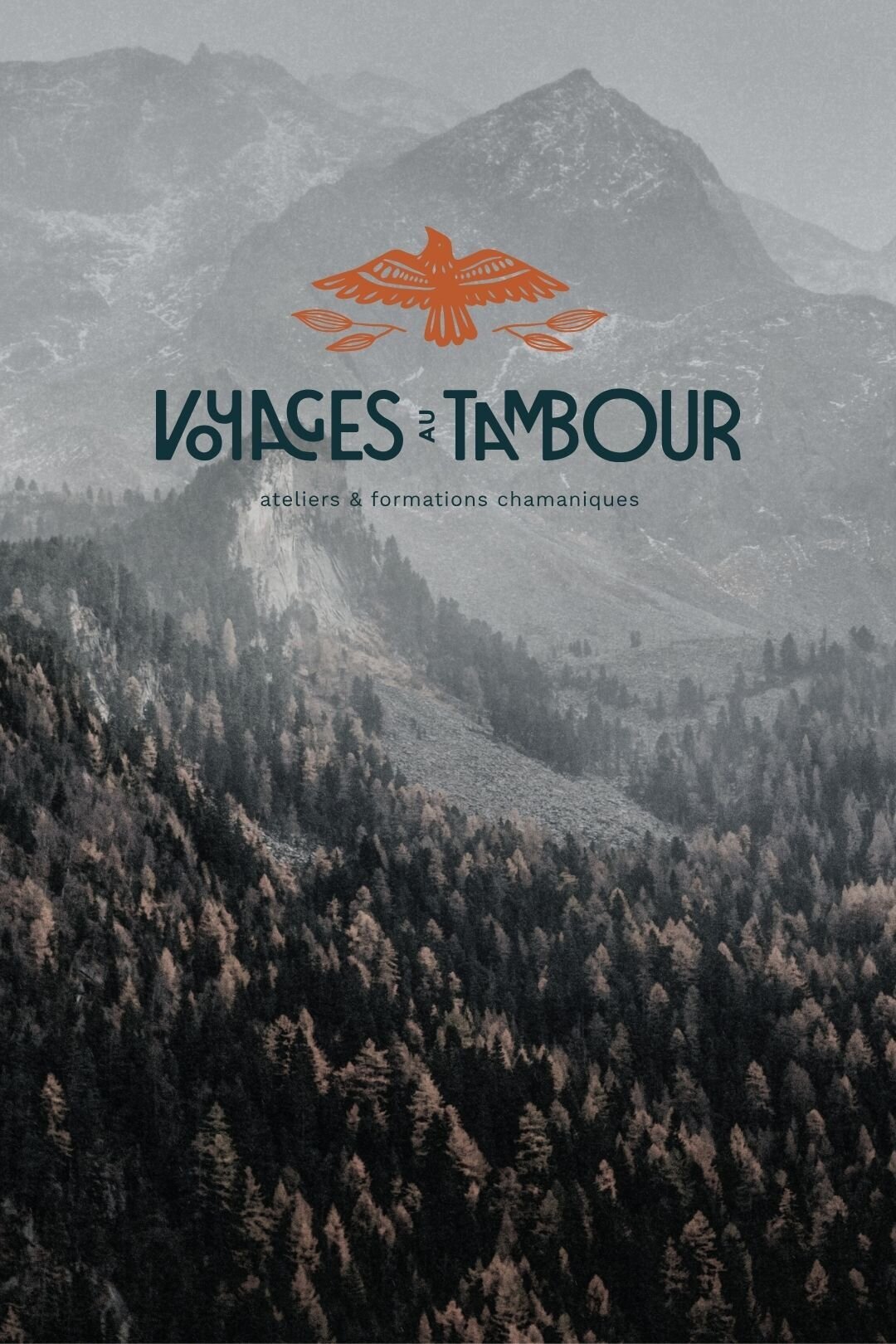 portfolio-bewildstudio-VAT1