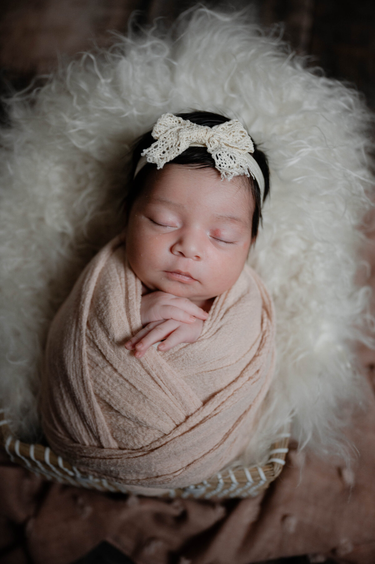 Taylor Elizabeth Photography Weddings and Lifetyle Photographer in Indiana Maternity + Family Photo 43