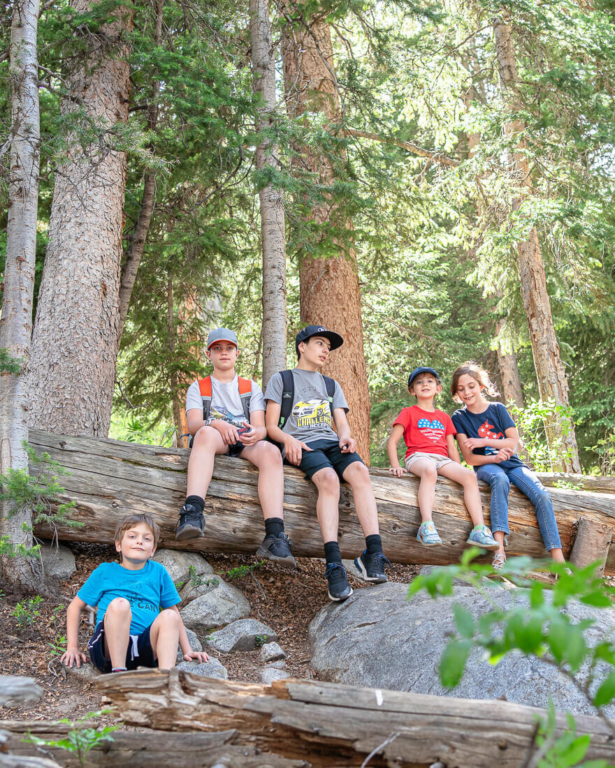 Woodruff kids sitting on a fallen tree on a trail at Silverlake, Brighton