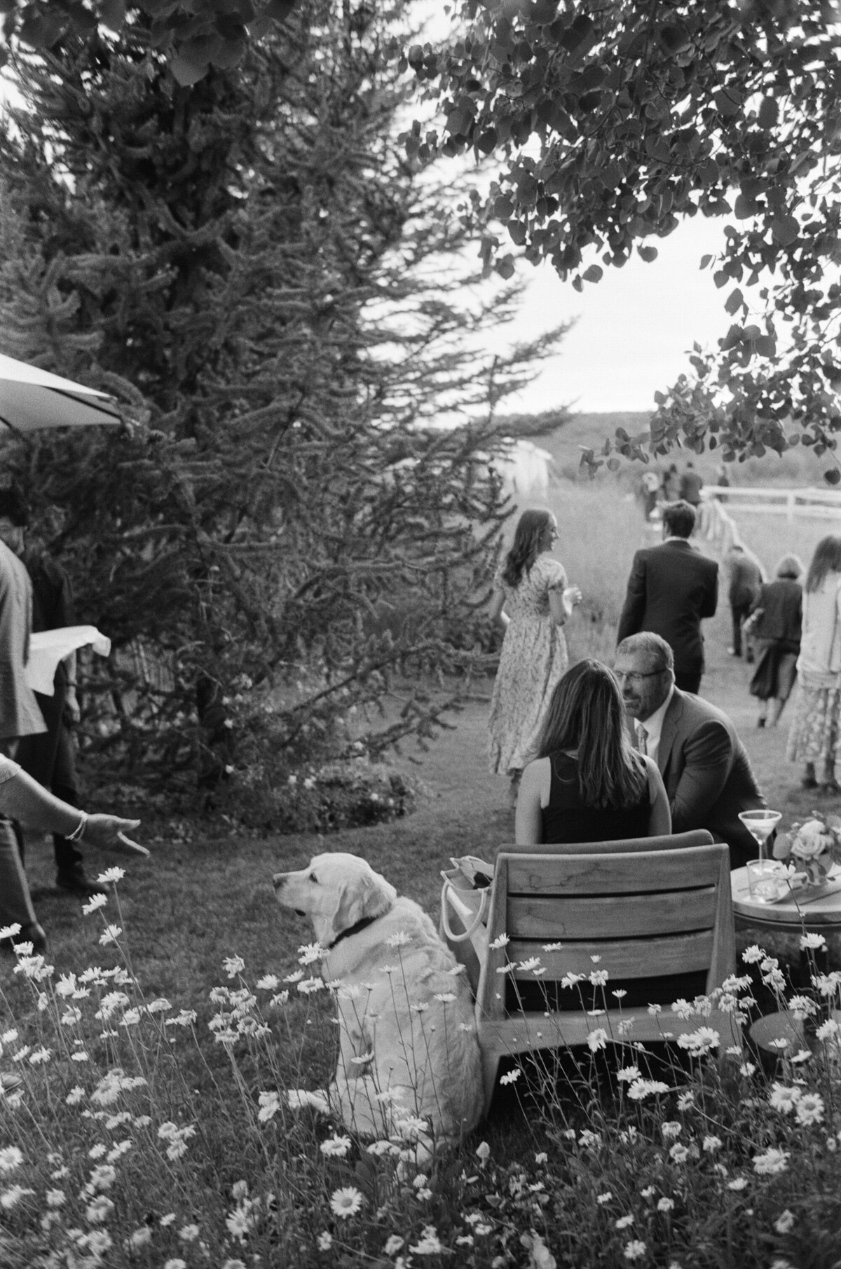Aspen_Snowmass_Ranch_Wedding-82
