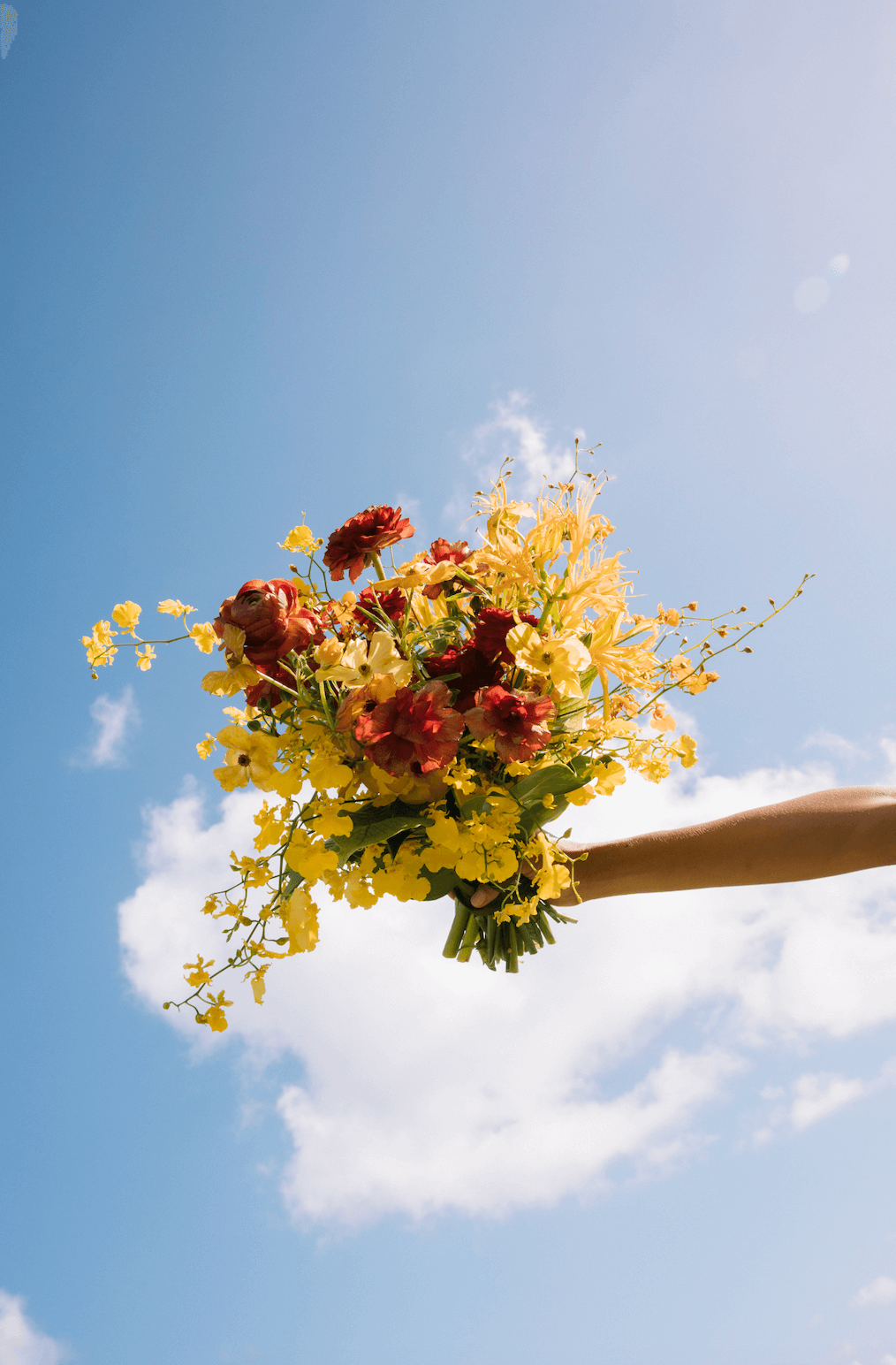 Screenshot 2025-11-20 at 8.25.50 AM