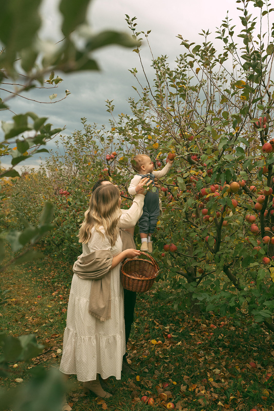 Family picking apples together in a Northern Virginia orchard during a seasonal documentary-style photoshoot