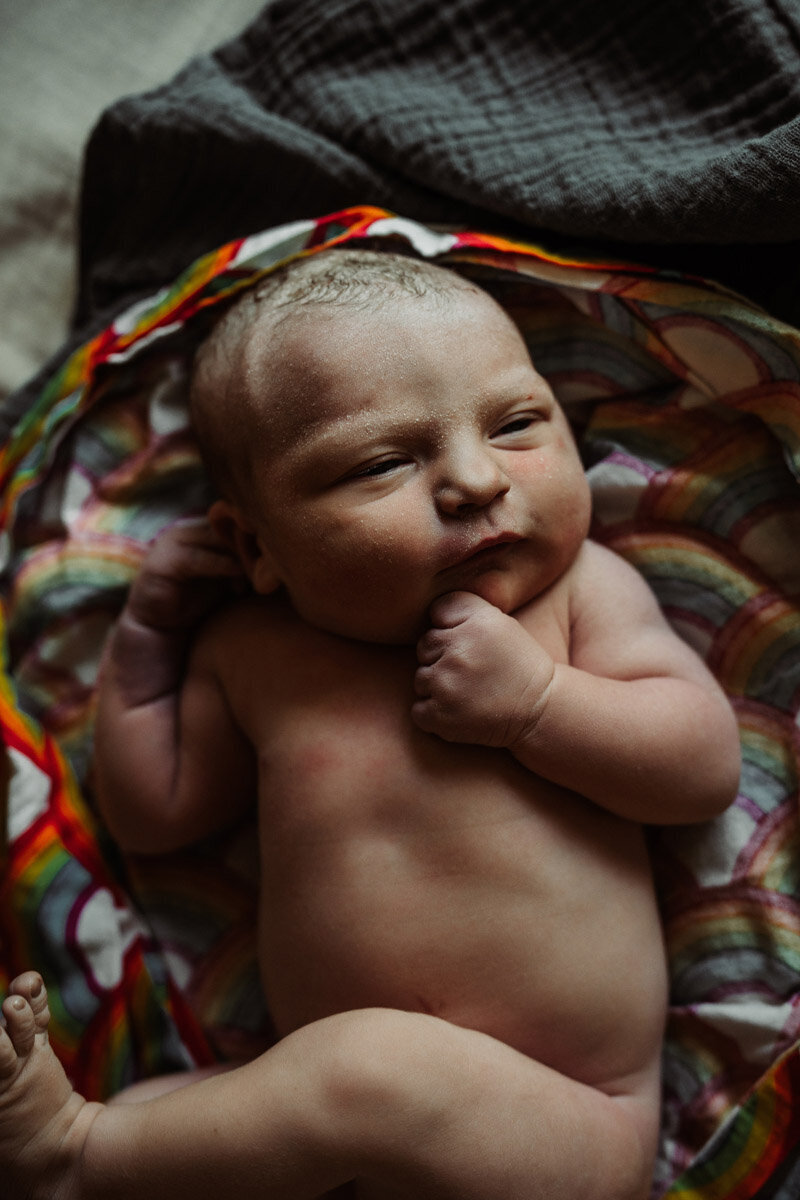 home-birth-photography-natalie-broders-g-079
