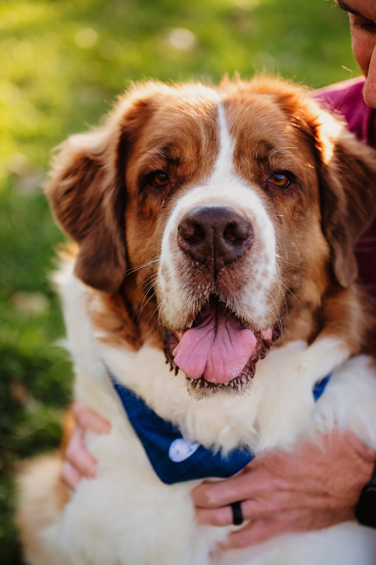 NicoleS_Fall2025_031