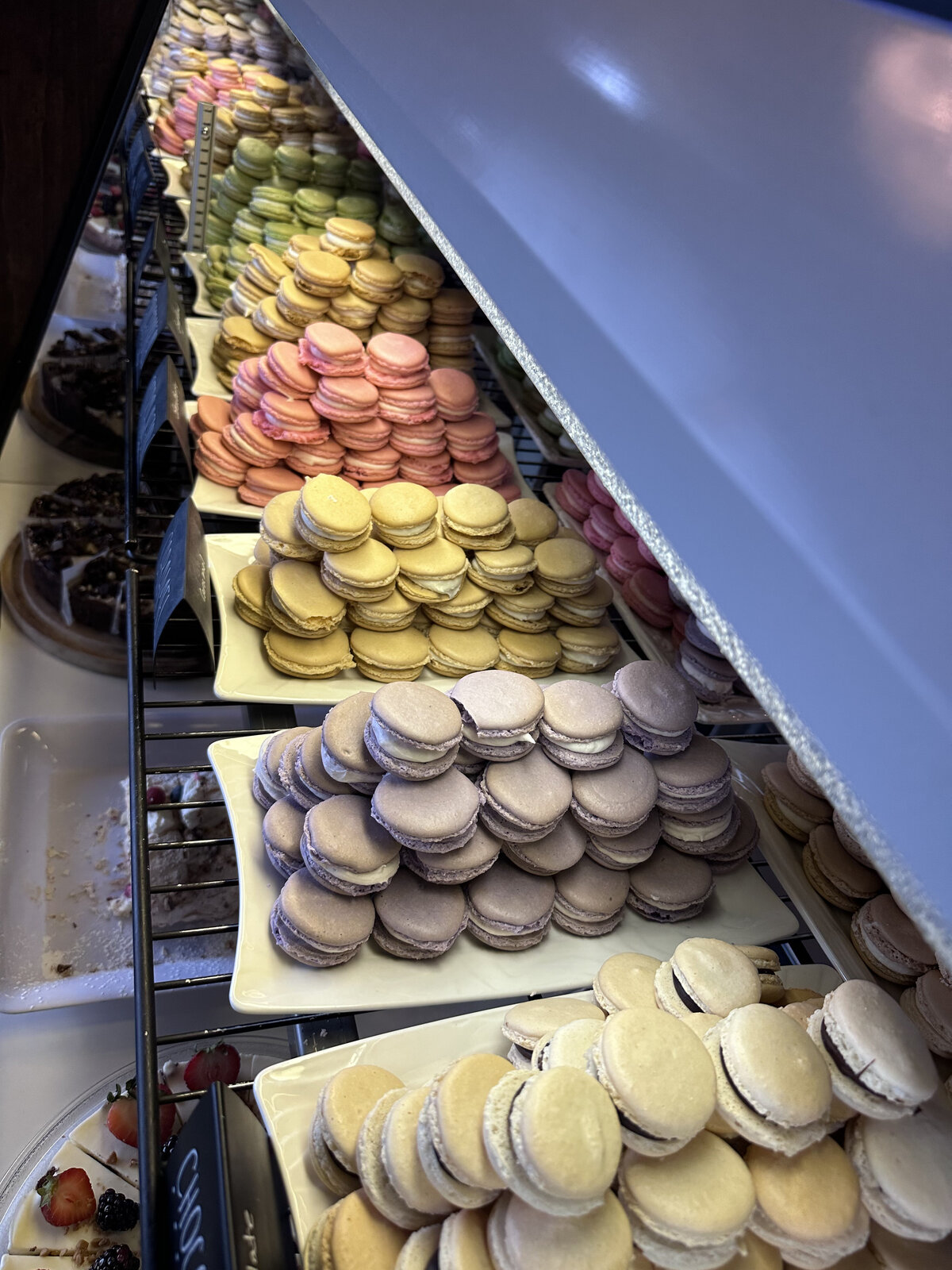 french-press-regina-coffee-shop-interior