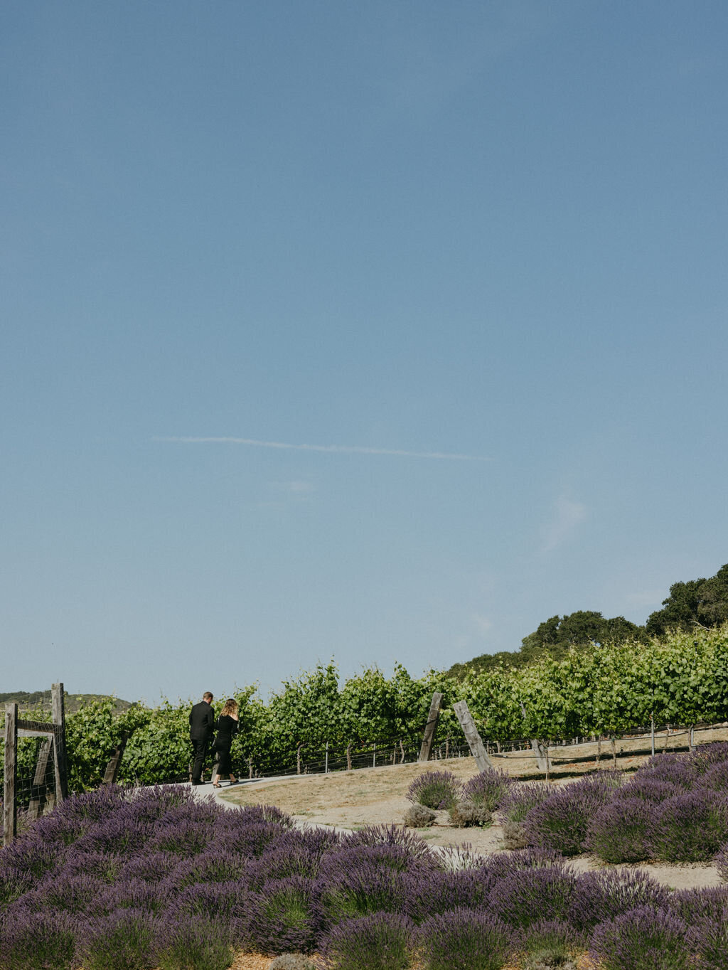 H&MWedding_0214