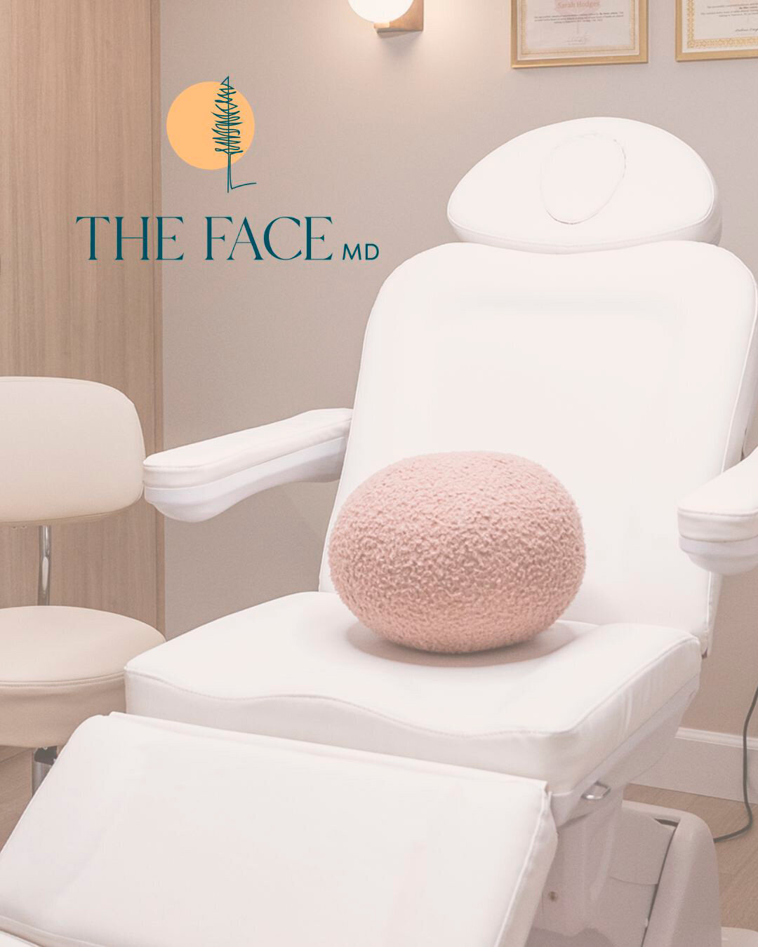 thefacemd-horizontal-logo