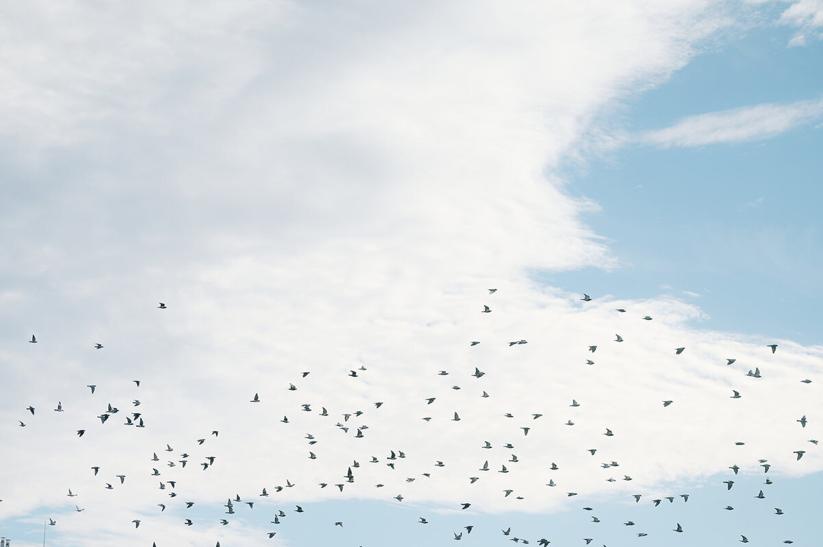 Rachel_Jason_Wedding_Photos_2024-0635_websize