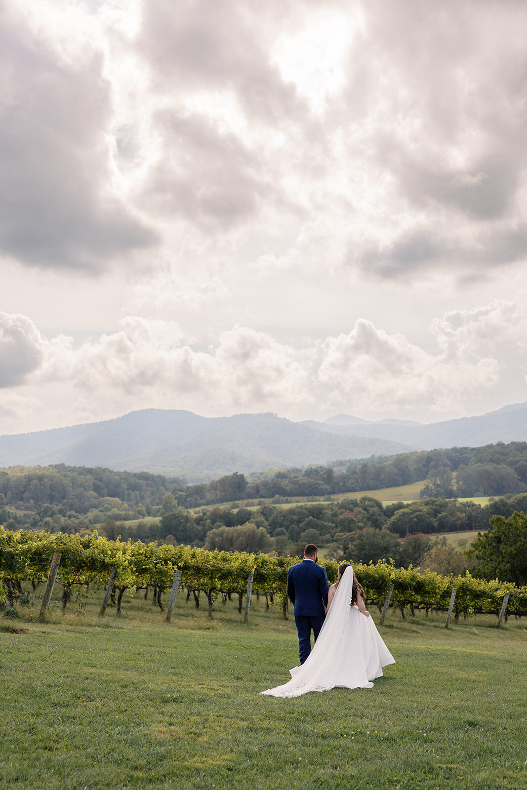 Pippin Hill Wedding Photographer_52