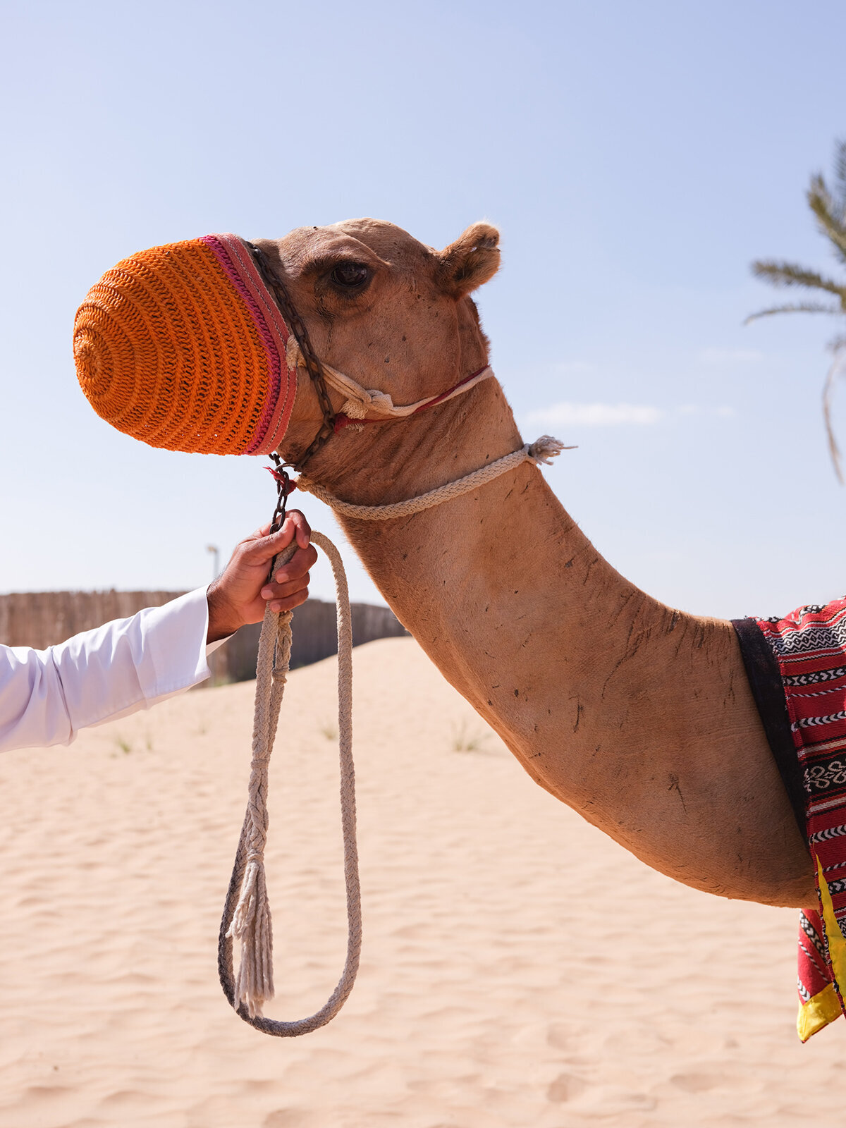 Michelle Norwood Living - Luxury Travel Inspiration - Dubai - elisabricker-5432