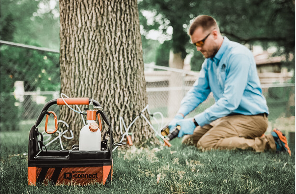 Professional arborist applying chemical tree injection treatment to base of tree