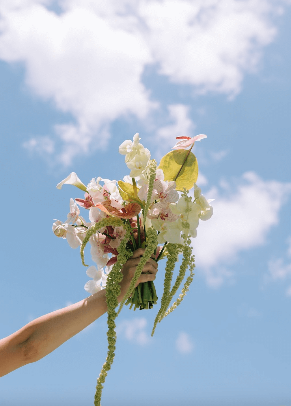 Screenshot 2025-11-25 at 9.08.05 AM