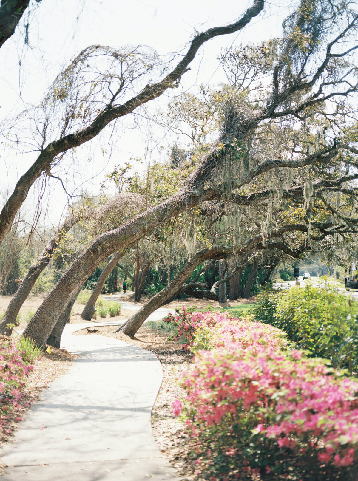 Ritz-Carlton-Amelia-Island-Florida-Wedding3