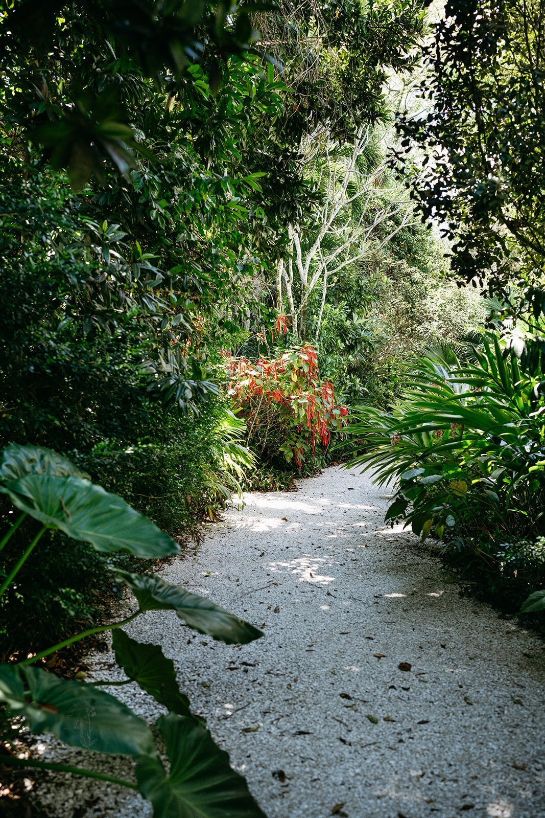 wedding-photographer-historic-palm-lodge (16)