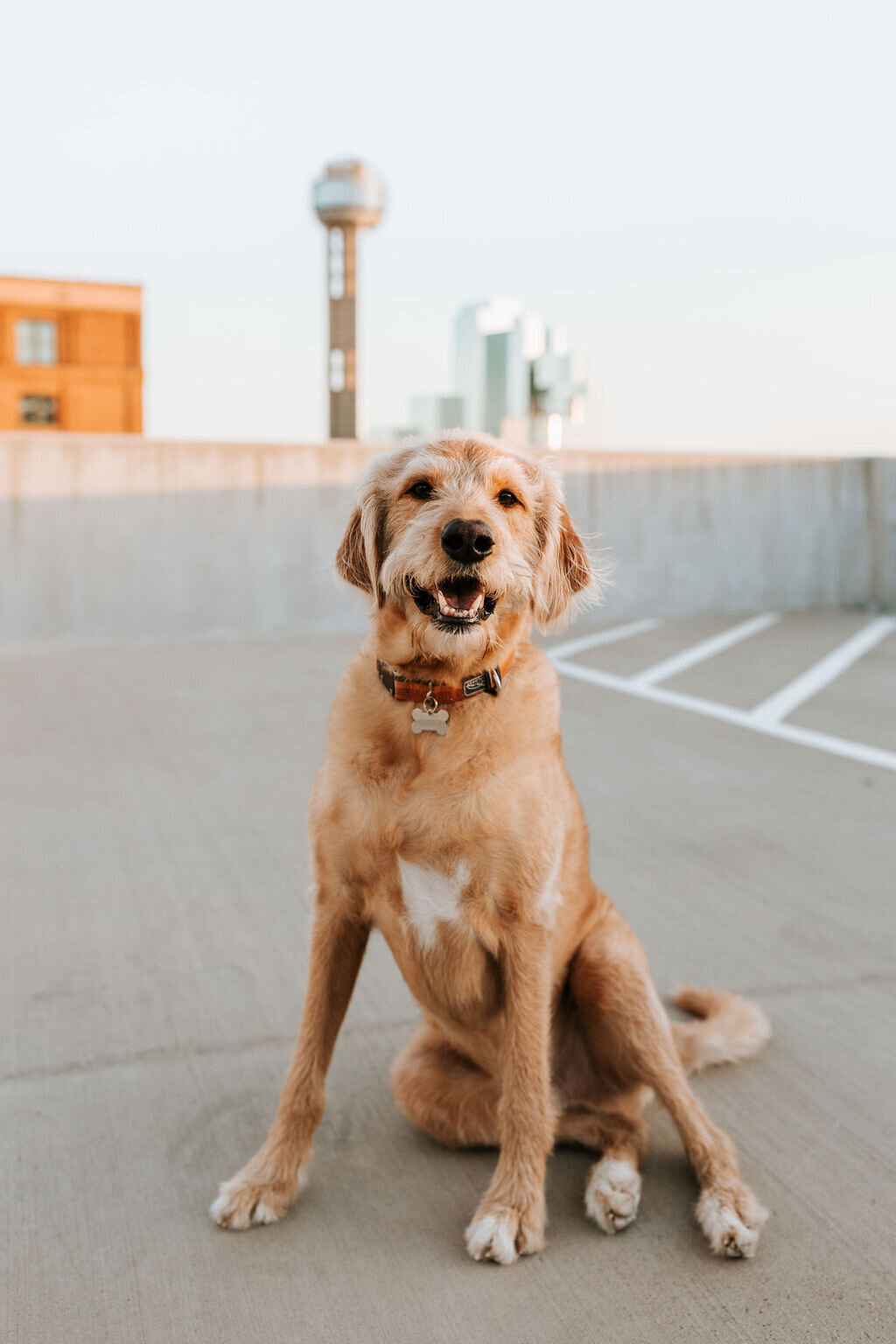 PeytonandEricEngagementSession|ReibPhotography|DallasWeddingPhotographer-111