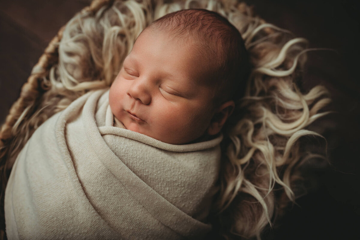 columbus-ohio-newborn-photographer-6